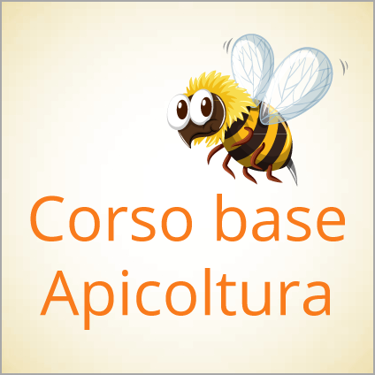 Corso base di apicoltura